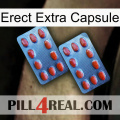 Erect Extra Capsule 05